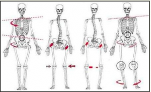 The importance of Bodyalignment…